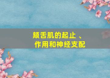 颏舌肌的起止 、 作用和神经支配